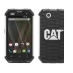 Cat B15