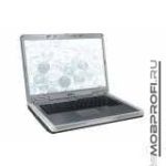 DELL Inspiron 1501