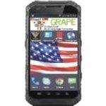 Grape GTE-P v.1