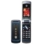 Motorola W396