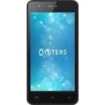 Oysters Atlantic