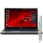 Packard Bell EasyNote TE11-HC-171