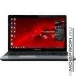 Packard Bell EasyNote TE11HC-B9604G50Mnks