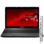 Packard Bell EasyNote TS11-HR-355