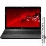 Packard Bell EasyNote TS11-HR-594