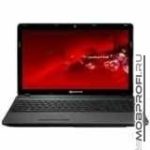Packard Bell EasyNote TS11-SB-401