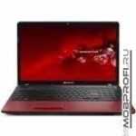 Packard Bell EasyNote TS13-HR-585