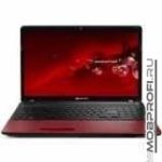 Packard Bell EasyNote TS13-SB-883