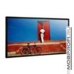 Philips BDL4651VH