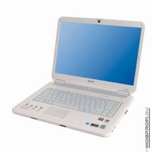 Sony Vaio Vgn-n31zr/w
