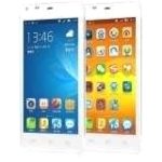ThL T5